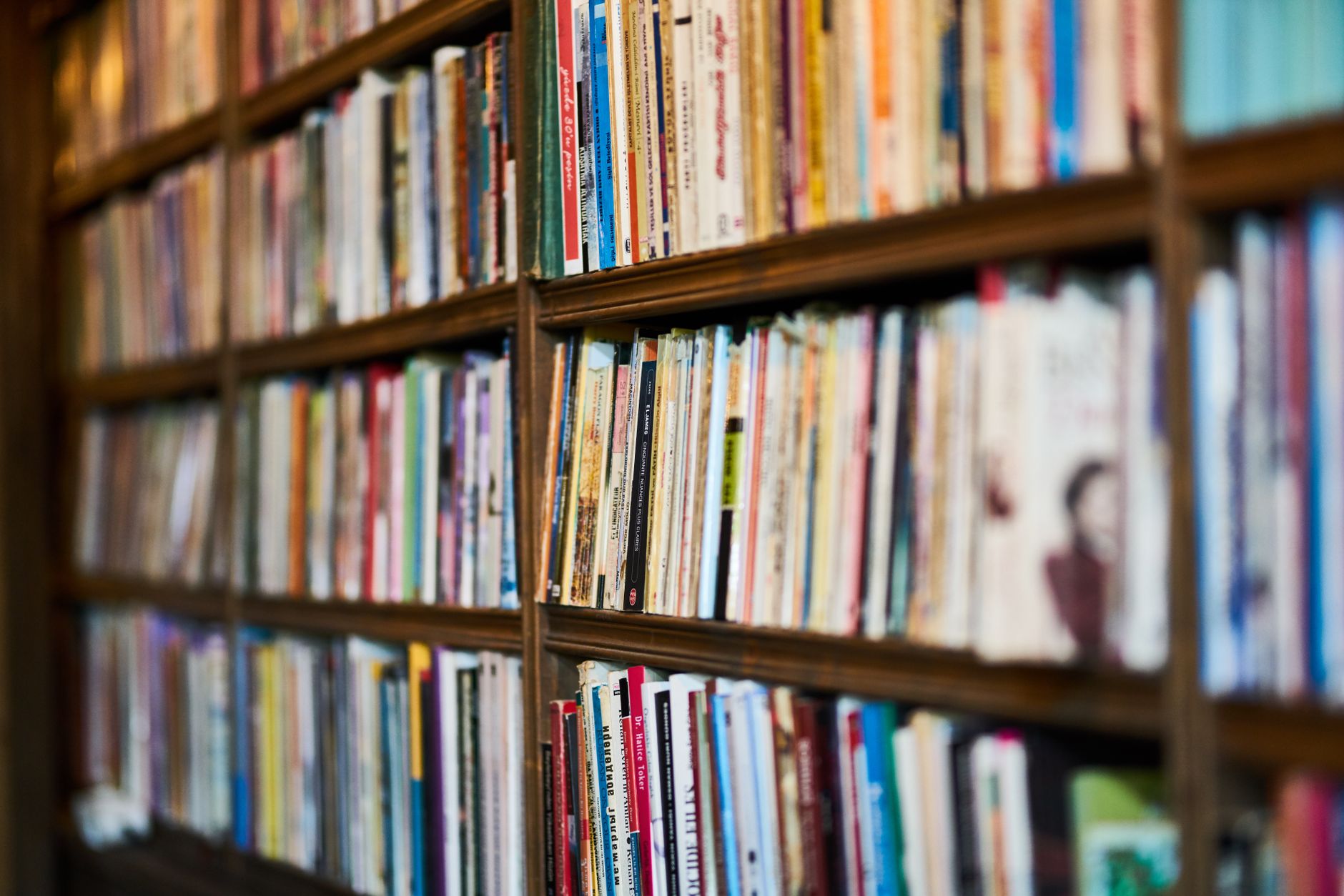 Akademik kaynakça hazırlarken kitap ve makaleleri inceleyen araştırmacı