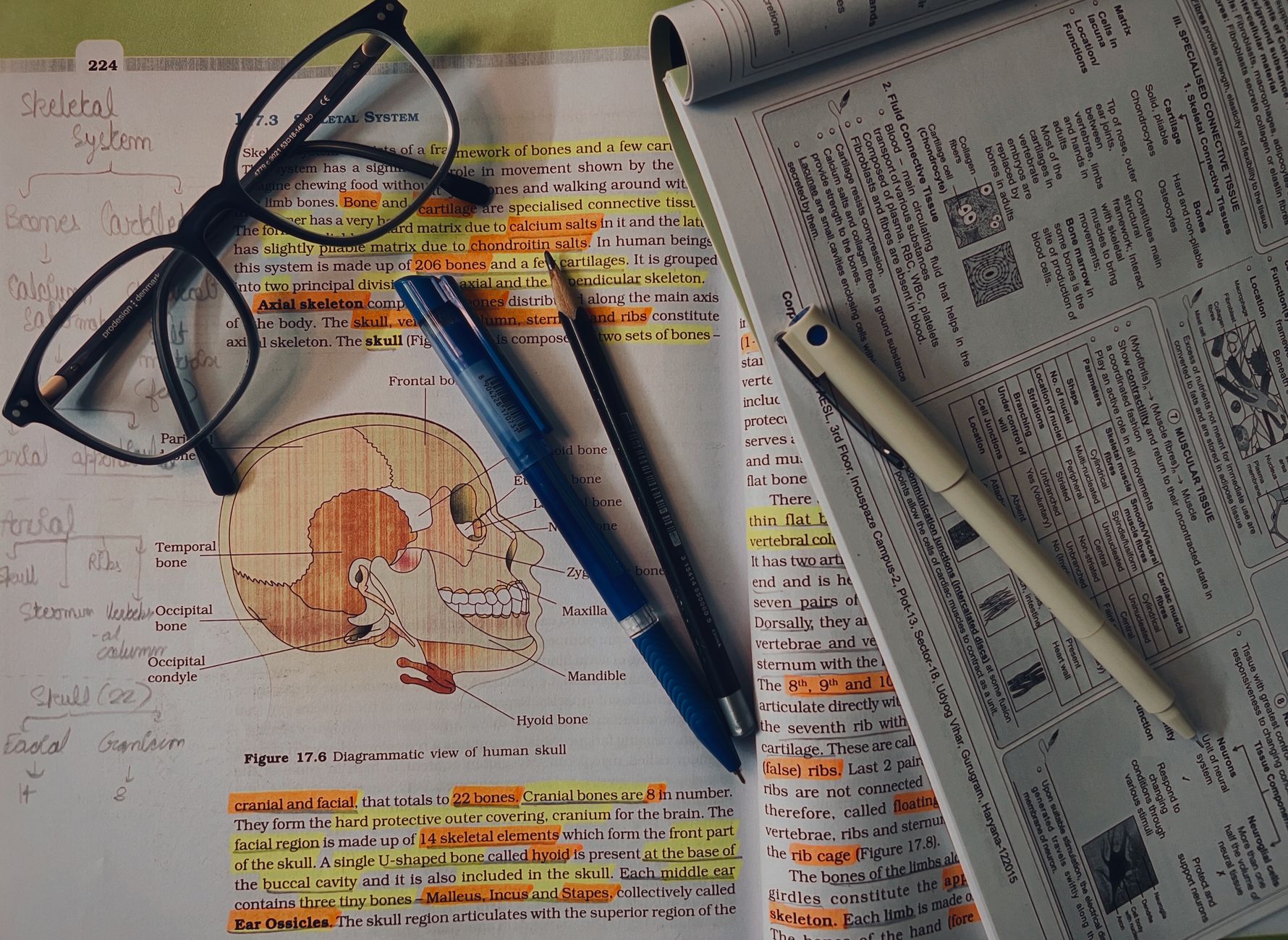 Tıp öğrencisi ders çalışırken akademik kitap okuyor